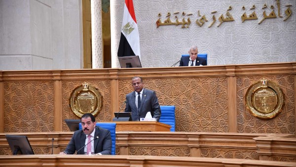 مجلس الشيوخ