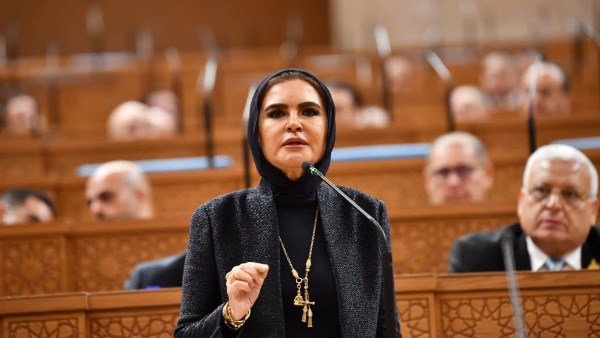الدكتورة سحر نصر وكيل اللجنة الاقتصادية بمجلس الشيوخ