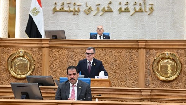 وزير التخطيط: بنك الاستثمار القومي يؤدي دورا محوريا في حوكمة الاستثمارات العامة