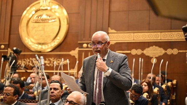  المهندس حازم الجندي، عضو مجلس الشيوخ