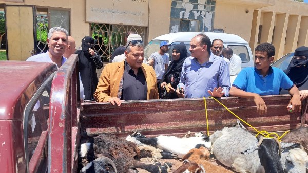 التضامن الاجتماعى