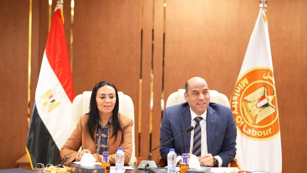 التضامن الاجتماعي