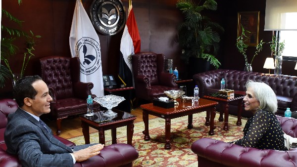 هيئة الاستثمار والمرصد المصري