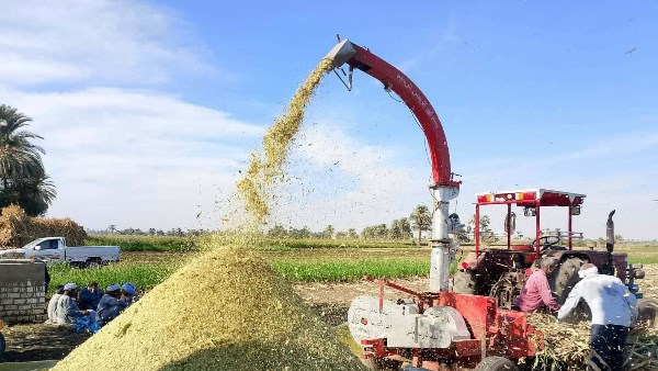  تدريب المزارعين على إعداد السيلاج