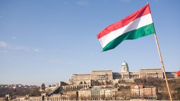 المجر