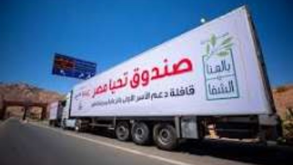 صندوق "تحيا مصر"