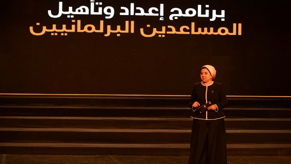 تنسيقيه شباب الأحزاب 