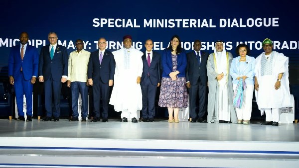 الدكتور محمد فريد وزير الاستثمار