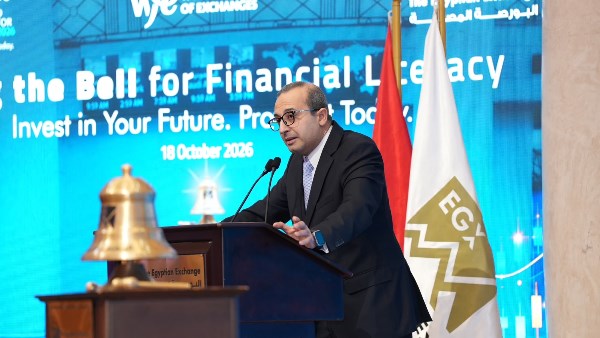 الدكتور محمد عبد العزيز مساعد رئيس هيئة الرقابة المالية