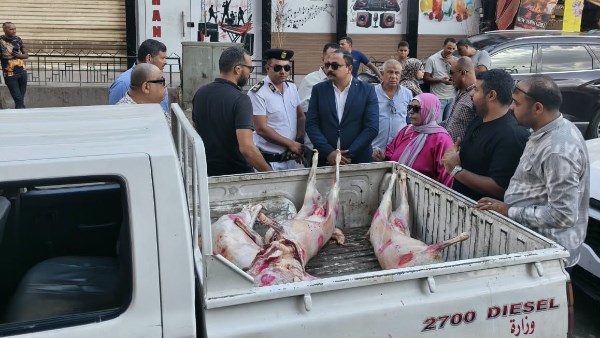 الدكتور محمود فؤاد رئيس حي العجوزة
