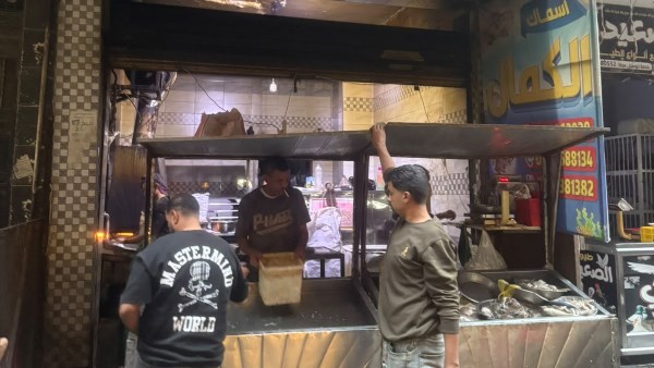 سحب معدات محل أسماك
