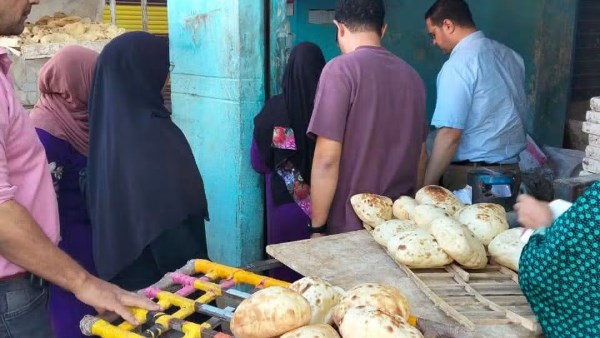 ضبط نصف طن دقيق مدعم محظور تداوله بماكينة طحين بكفر عشما بالمنوفية ضبط نصف طن دقيق مدعم محظور تداوله بماكينة طحين بكفر عشما بالمنوفية
