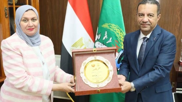 محافظ المنوفية 
