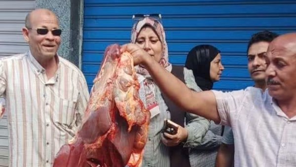 المنوفية: ضبط نصف طن لحوم غير صالحة للاستهلاك وبأختام مزورة بقويسنا
