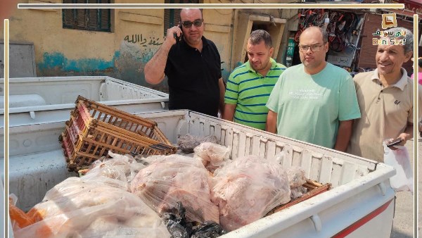 تموين بني سويف