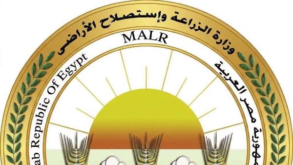 غدا.. بدء حملة موسعة لمكافحة القوارض عقب حصاد المحاصيل الصيفية بالمنيا