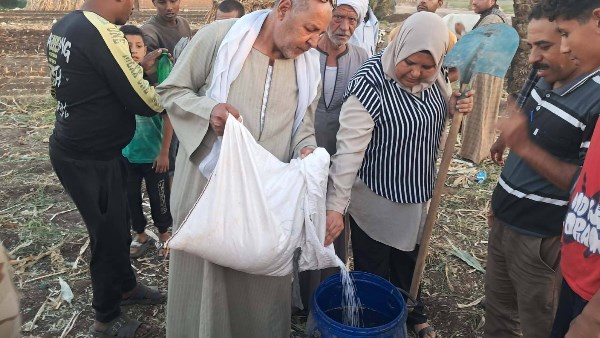 محافظ أسيوط: تدريب المزارعين على إعداد السيلاج بقرى مركز الفتح محافظ أسيوط: تدريب المزارعين على إعداد السيلاج بقرى مركز الفتح