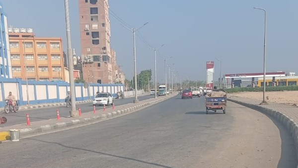 تطوير وتجميل أرصفة ميدان الوليدية الجديد وري الأشجار والنخيل بحديقة صينية القناطر