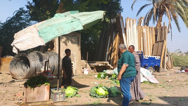 حملات لإزالة الإشغالات بمدخل أبنوب 