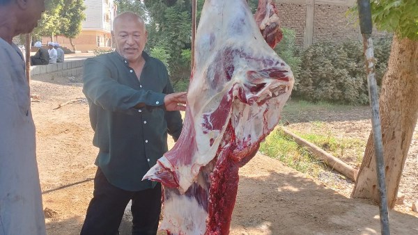 صورة ارشيفية