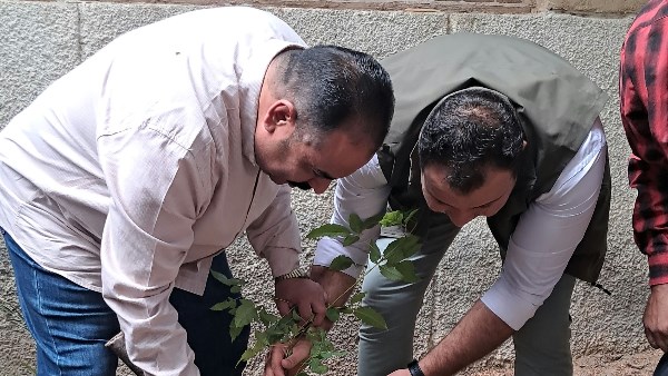 «ازرع فكرة.. ازرع شجرة» تصل إلى مدارس الأقصر.. زراعة 200 شجرة مستهدفة في المرحلة الأولى