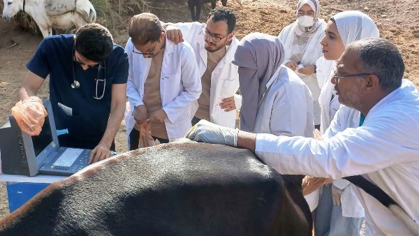 جهود متنوعة