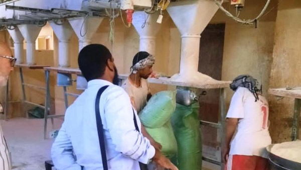 جهود متنوعة 
