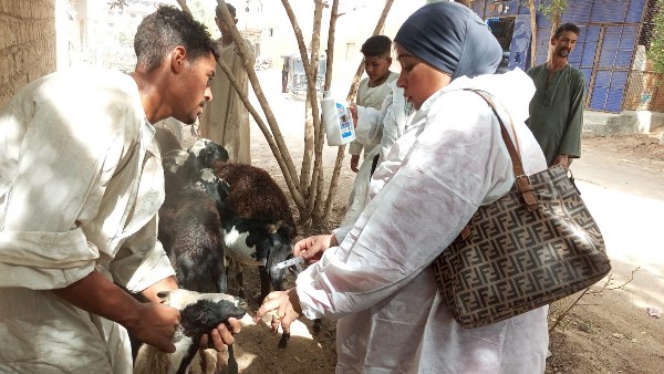 جهود متنوعة