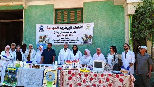 جهود متنوعة