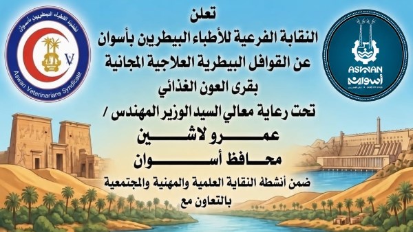 جهود متنوعة