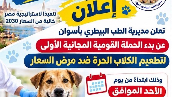 جهود متنوعة