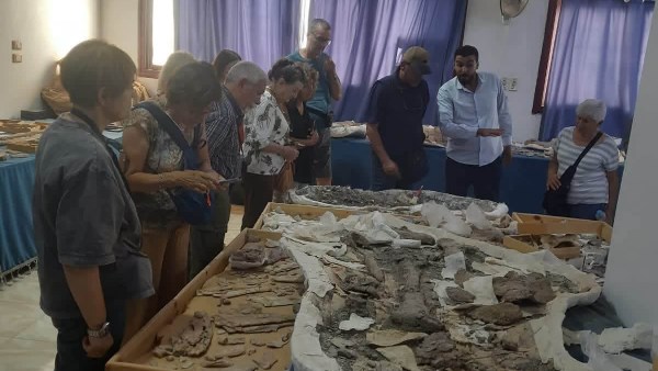 جامعة الوادي الجديد تفتتح متحف الحفريات للسياح الإيطاليين جامعة الوادي الجديد تفتتح متحف الحفريات للسياح الإيطاليين