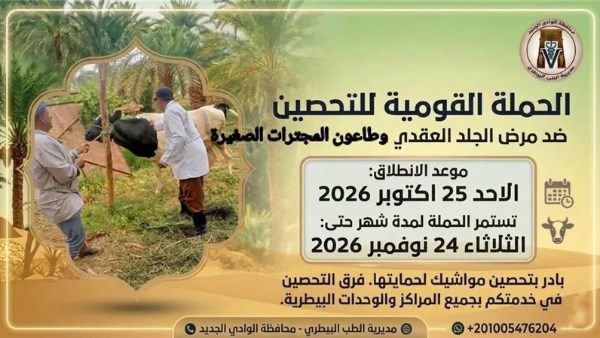 41 لجنة بيطرية تطلق حملة تحصين الماشية بالوادي الجديد