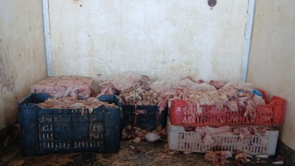 غير صالحة للاستهلاك.. 250 كيلو دواجن في حملات تموينية بالإسكندرية غير صالحة للاستهلاك.. 250 كيلو دواجن في حملات تموينية بالإسكندرية