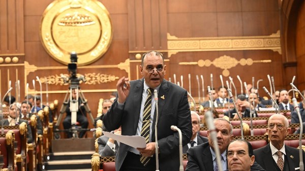برلماني: منتدى مصر 2026 منصة مهمة لدعم التنمية وتعزيز الحوار