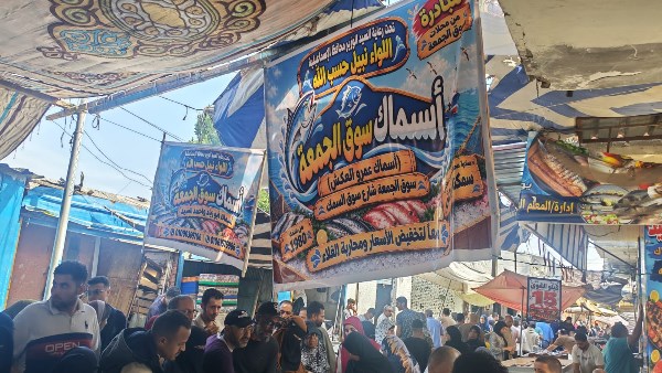 المبادرة 