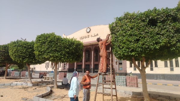 الصور المتداولة 