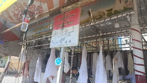 المبادرات 