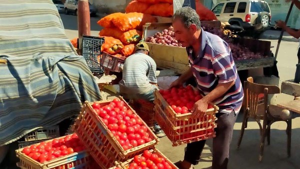 تحركات ميدانية مكثفة تنفيذًا لتوجيهات محافظ بورسعيد.. للارتقاء بمستوى الخدمات 