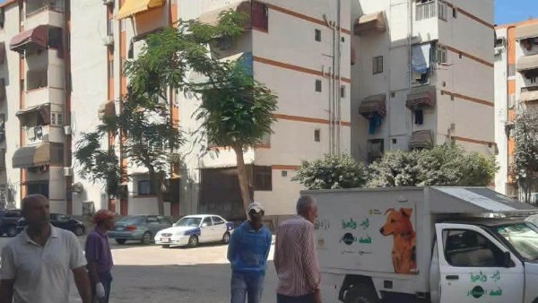 بيطري بورسعيد يكافئ طبية وفنى وحيدين  يعملان بجمع الكلاب الضالة للتحقيق