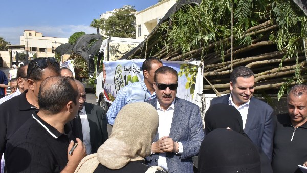 بورسعيد تستقبل دفعة جديدة من أشجار «البونسيانا والجاكرندا» بعدد 1000شجرة ضمن المرحلة الخامسة