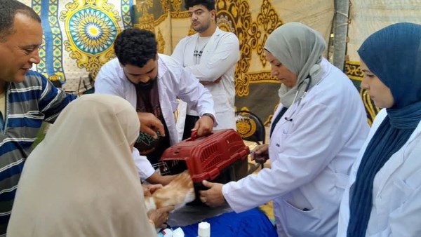 قافلة بيطرية 
