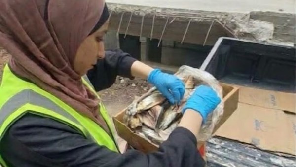 حملات رقابية بالغربية 