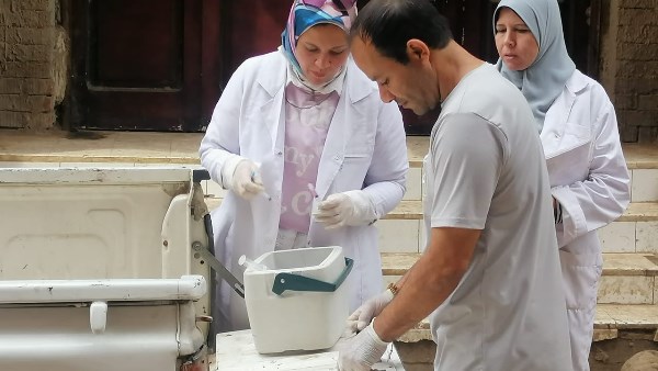 مواشي الغربية 