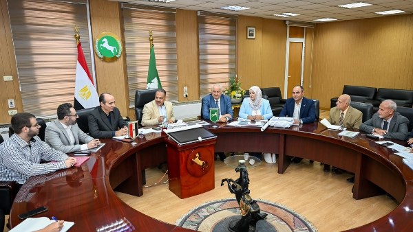 محافظ الشرقية