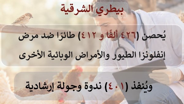 بيطري الشرقية 