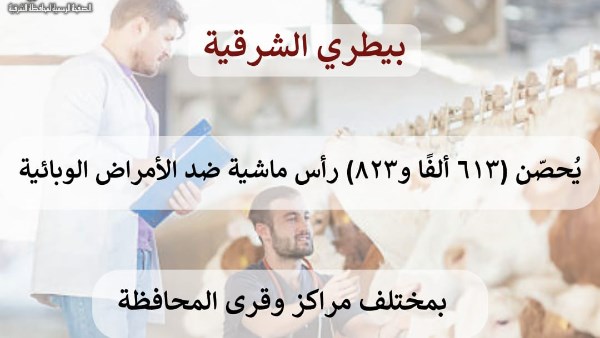 بيطري الشرقية 