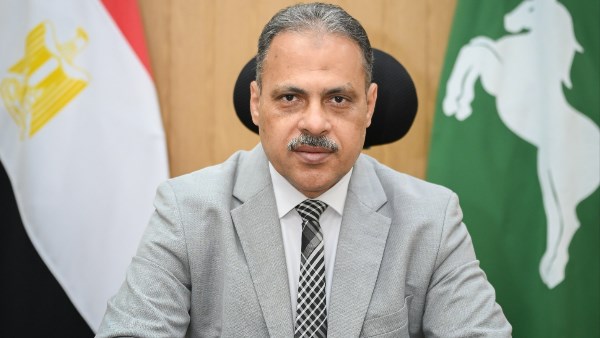 محافظ الشرقية