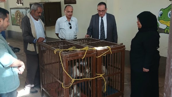 بيطري الشرقية 