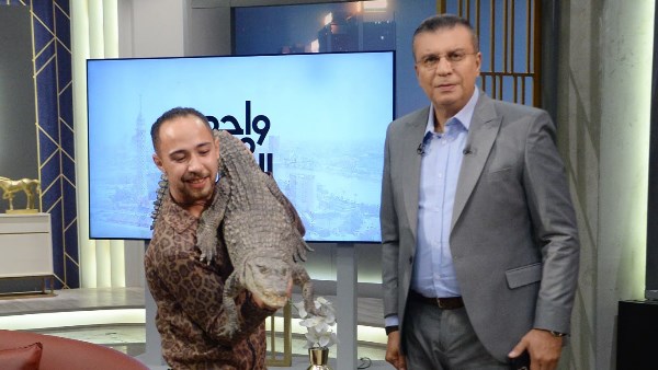 عمرو الليثي 